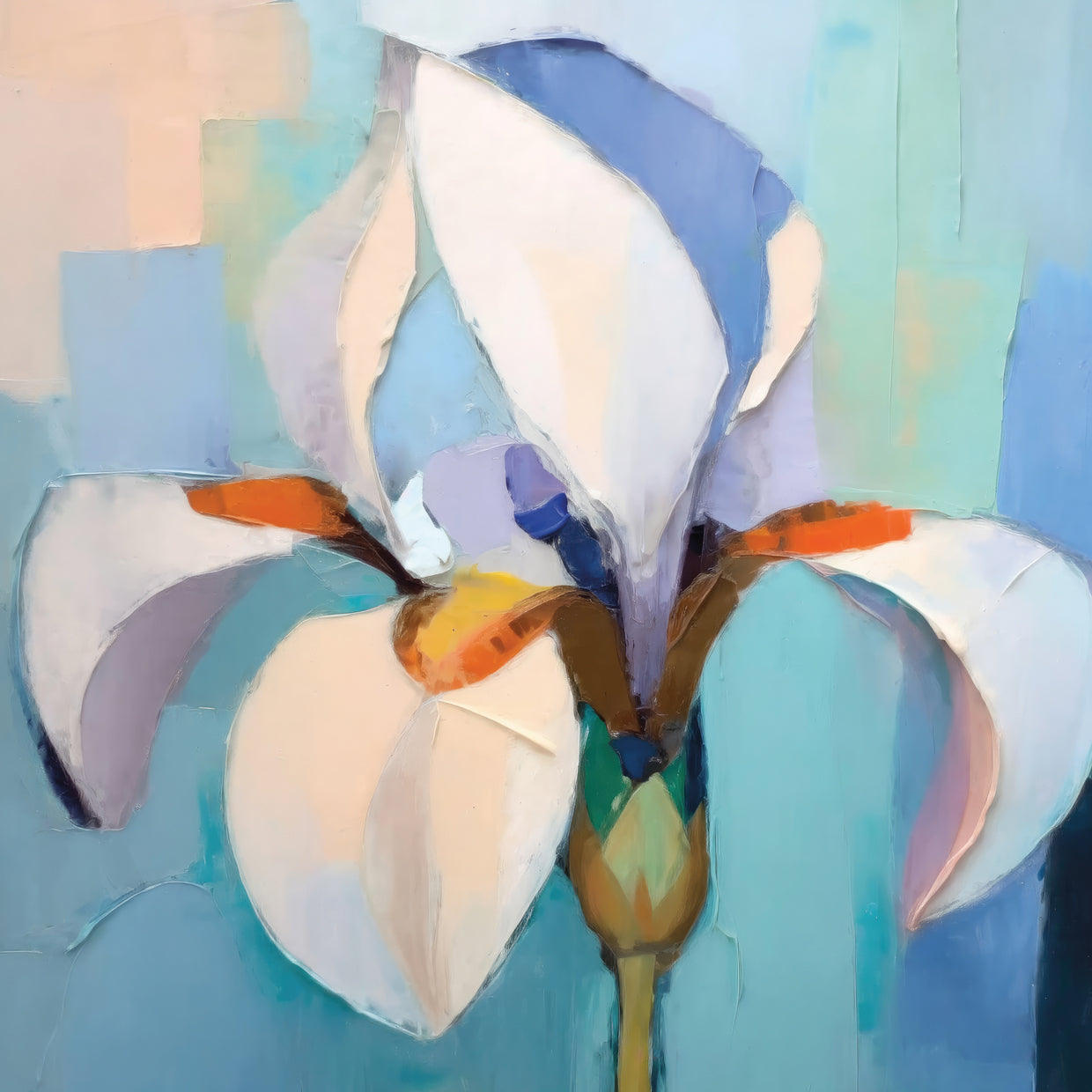 Iris 3