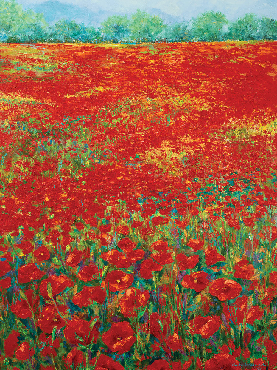 POPPY FIELD ITALY