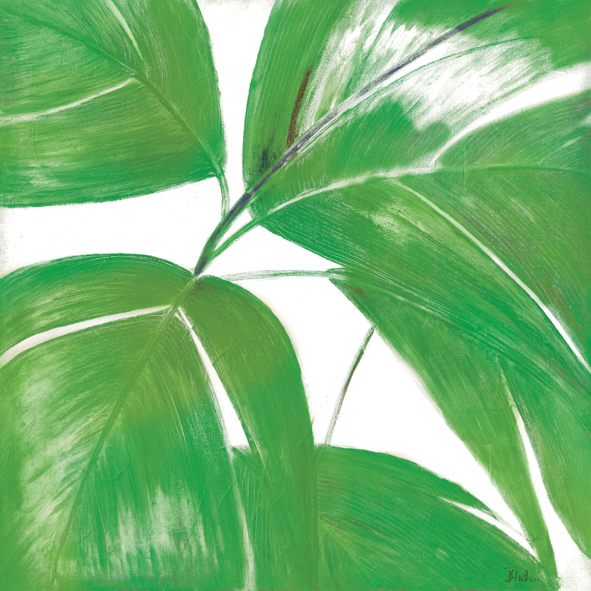 La Palmera Vibrant I