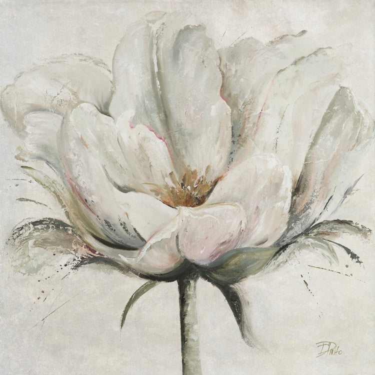 Neutral Blooming Tulip II