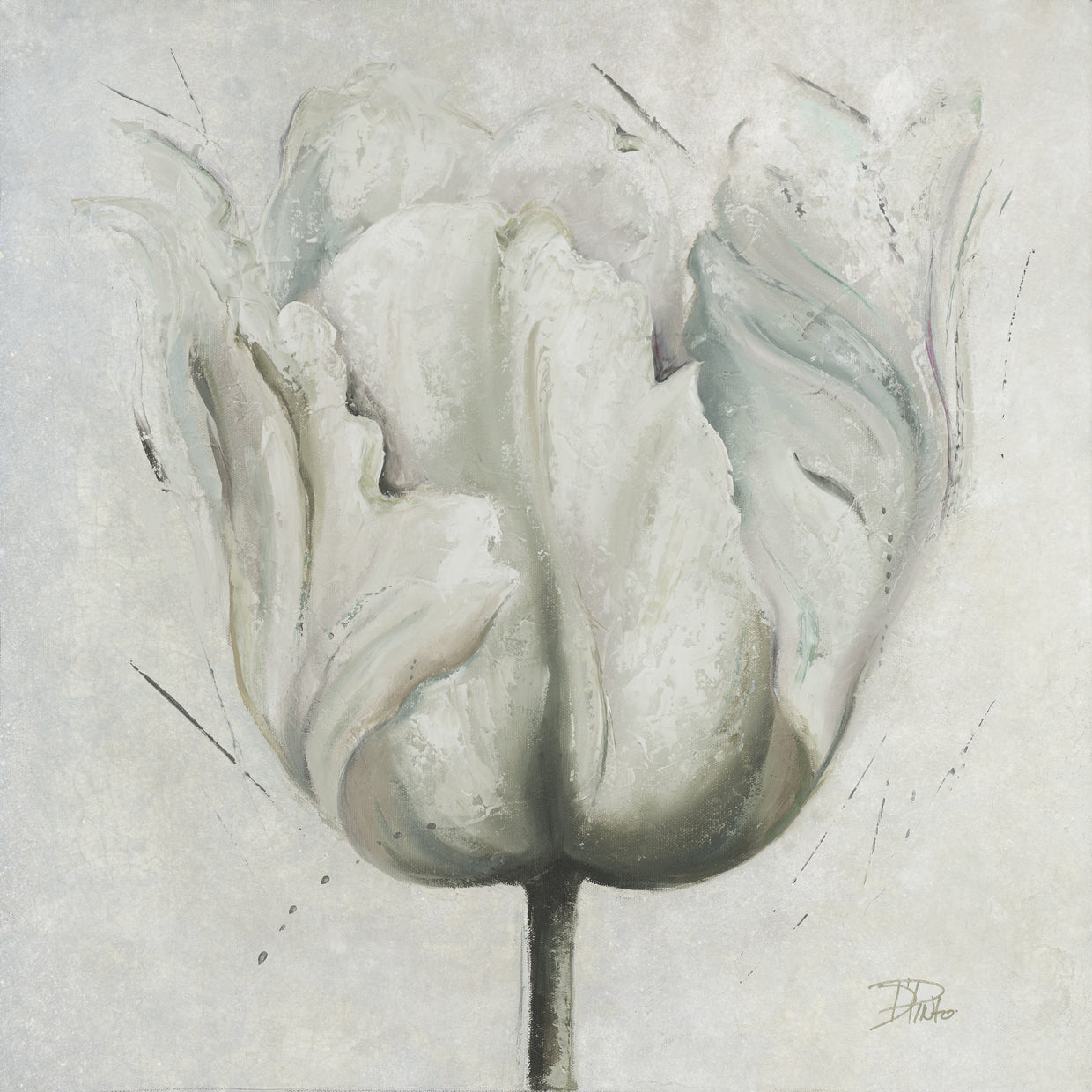 Neutral Blooming Tulip I