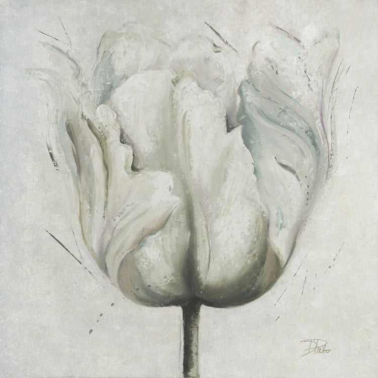 Neutral Blooming Tulip I