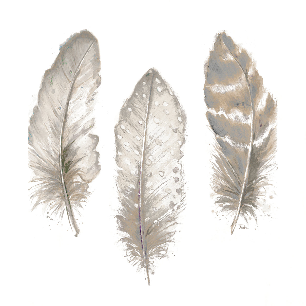 Neutral Watercolor Feathers II
