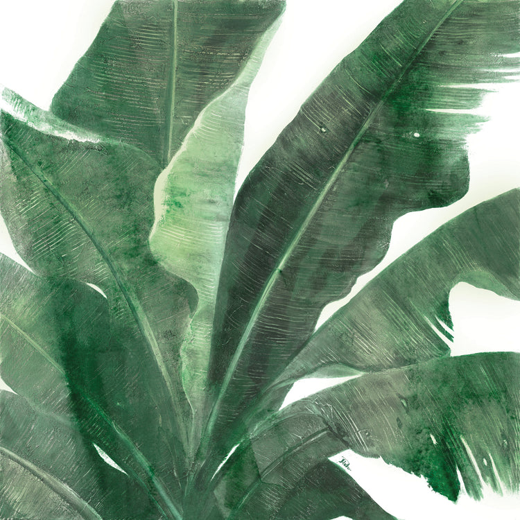 Uraba Palm on White I
