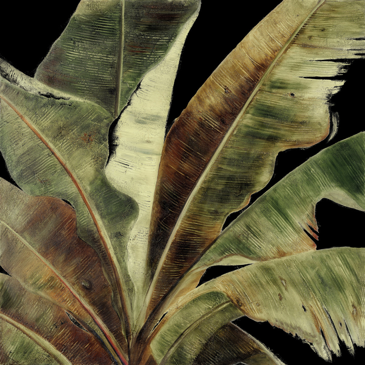 Uraba Palm on Black I