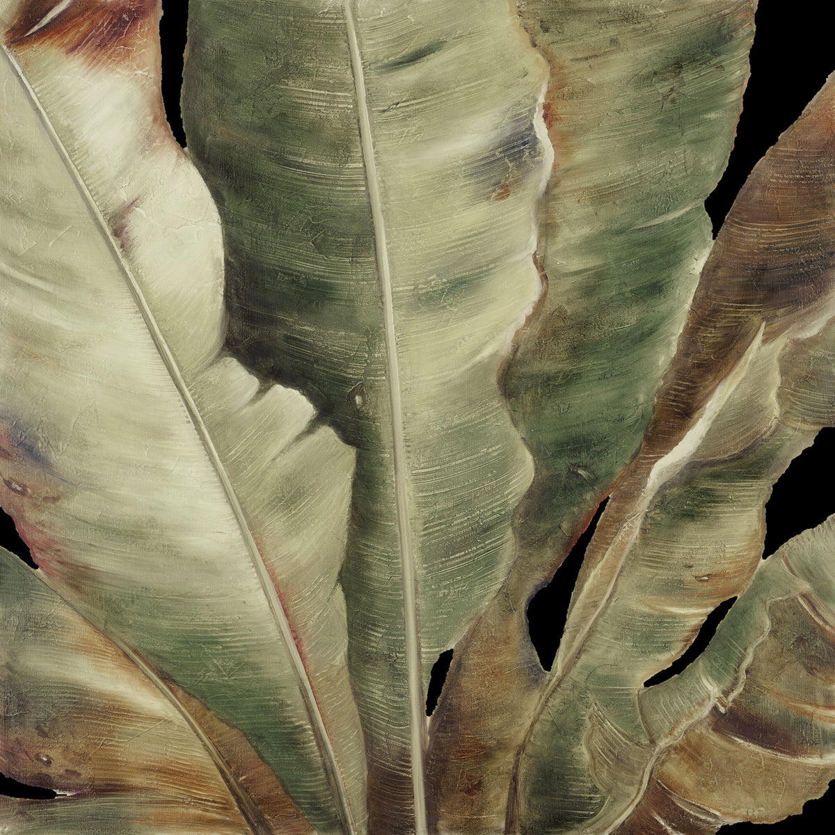 Uraba Palm on Black II