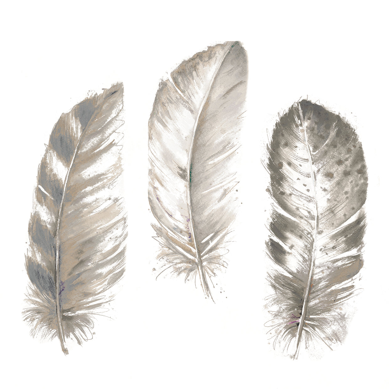 Neutral Watercolor Feathers I