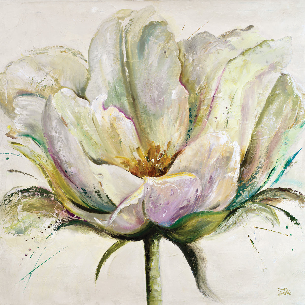 Lilac Tulip II