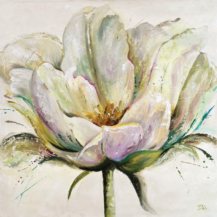 Lilac Tulip II