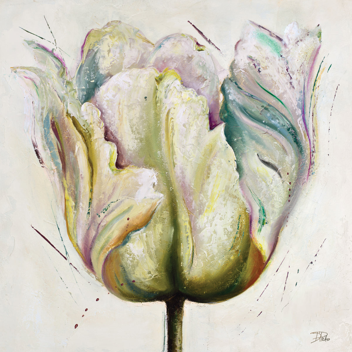 Lilac Tulip I