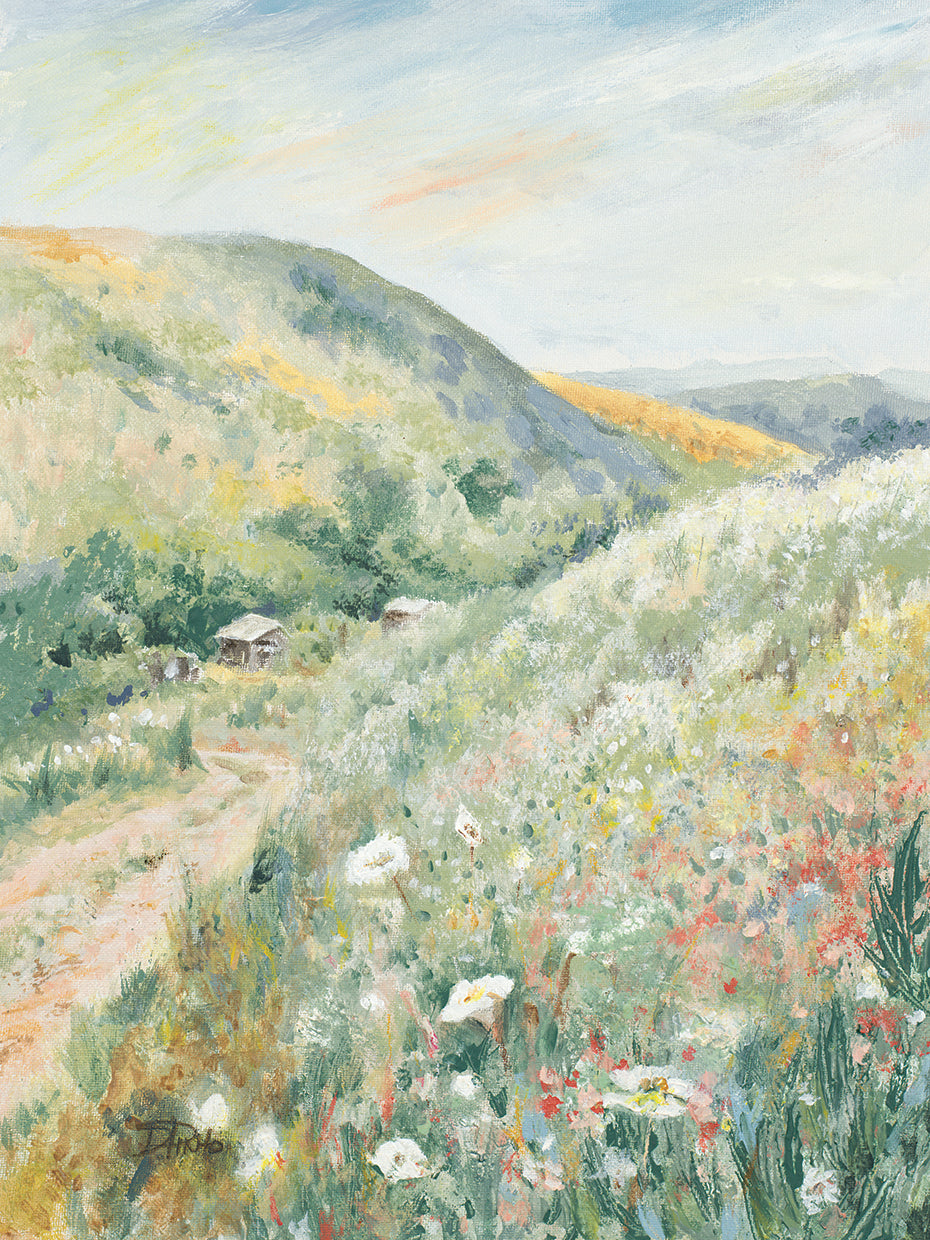 Spring In The Hills