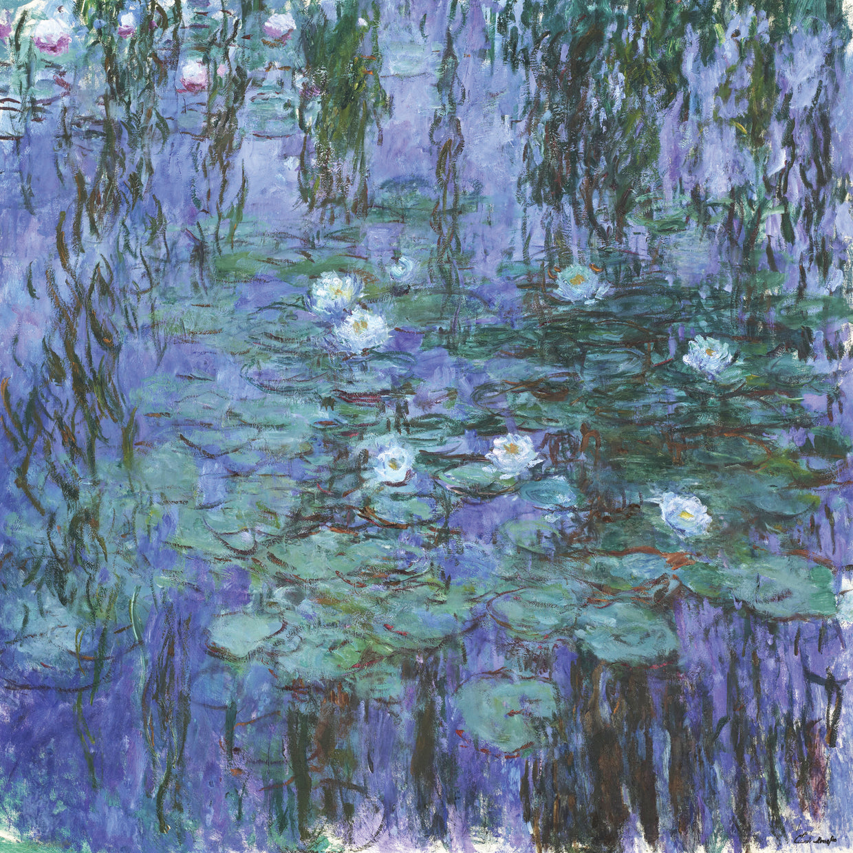 Blue Water Lilies