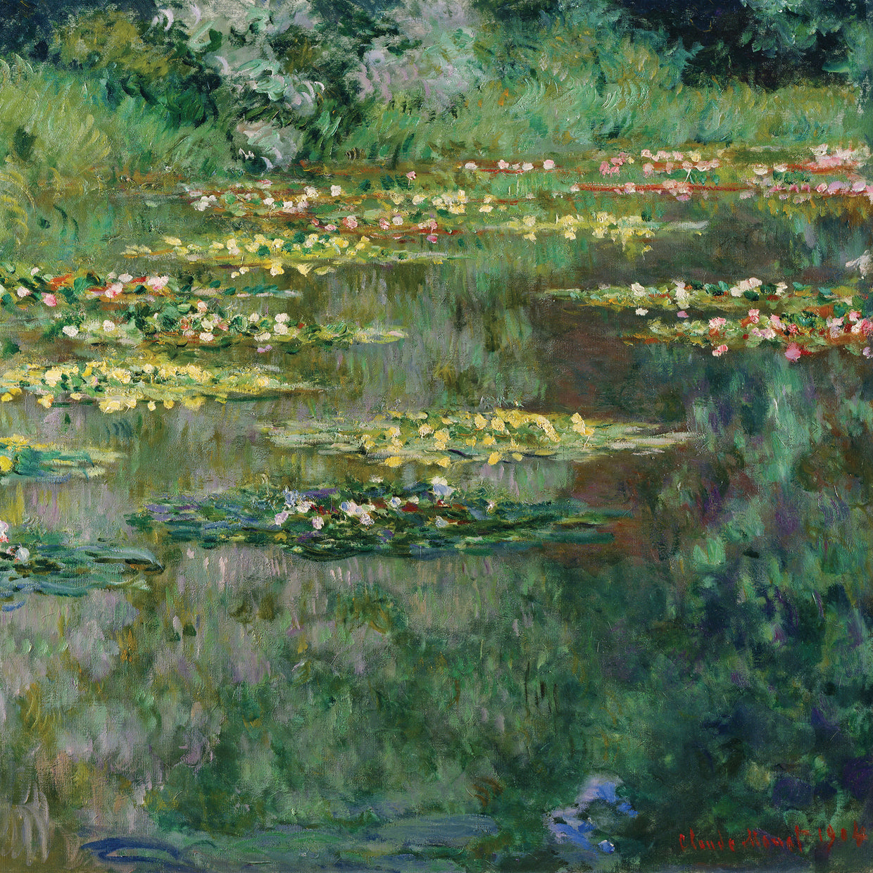 Le Bassin des Nympheas