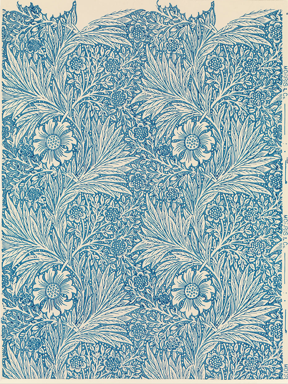 Marigold b