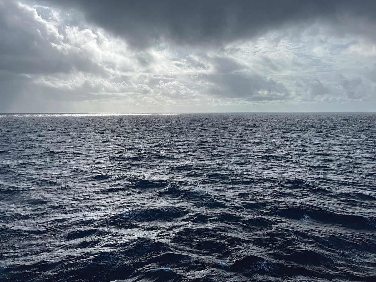 Vast Ocean Views 1