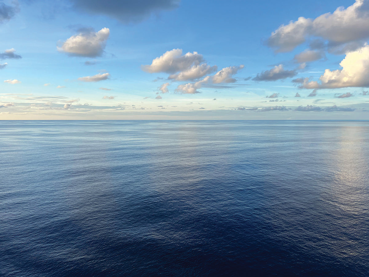 Vast Ocean Views 6