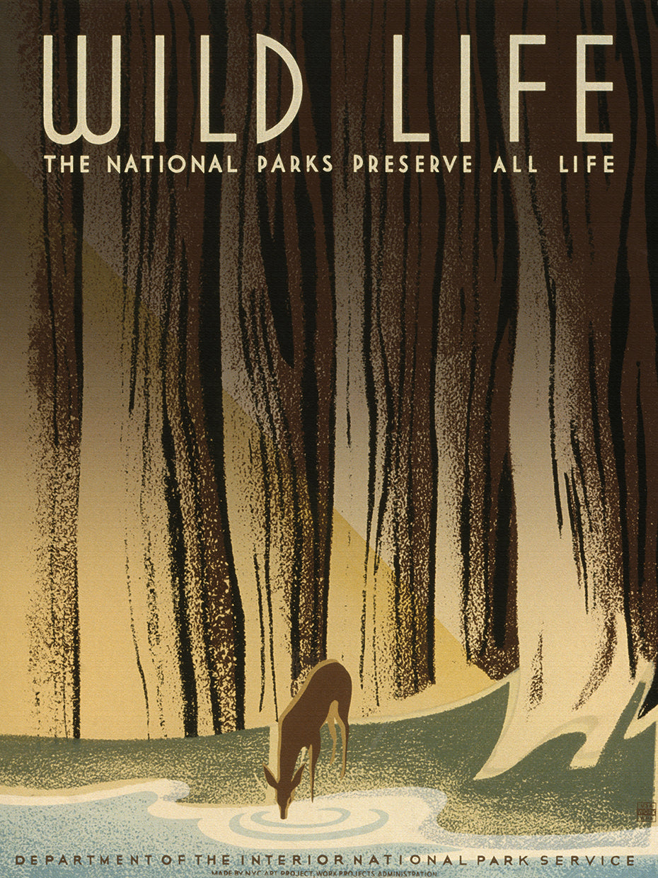 National Parks Poster Preserve Wild Life
