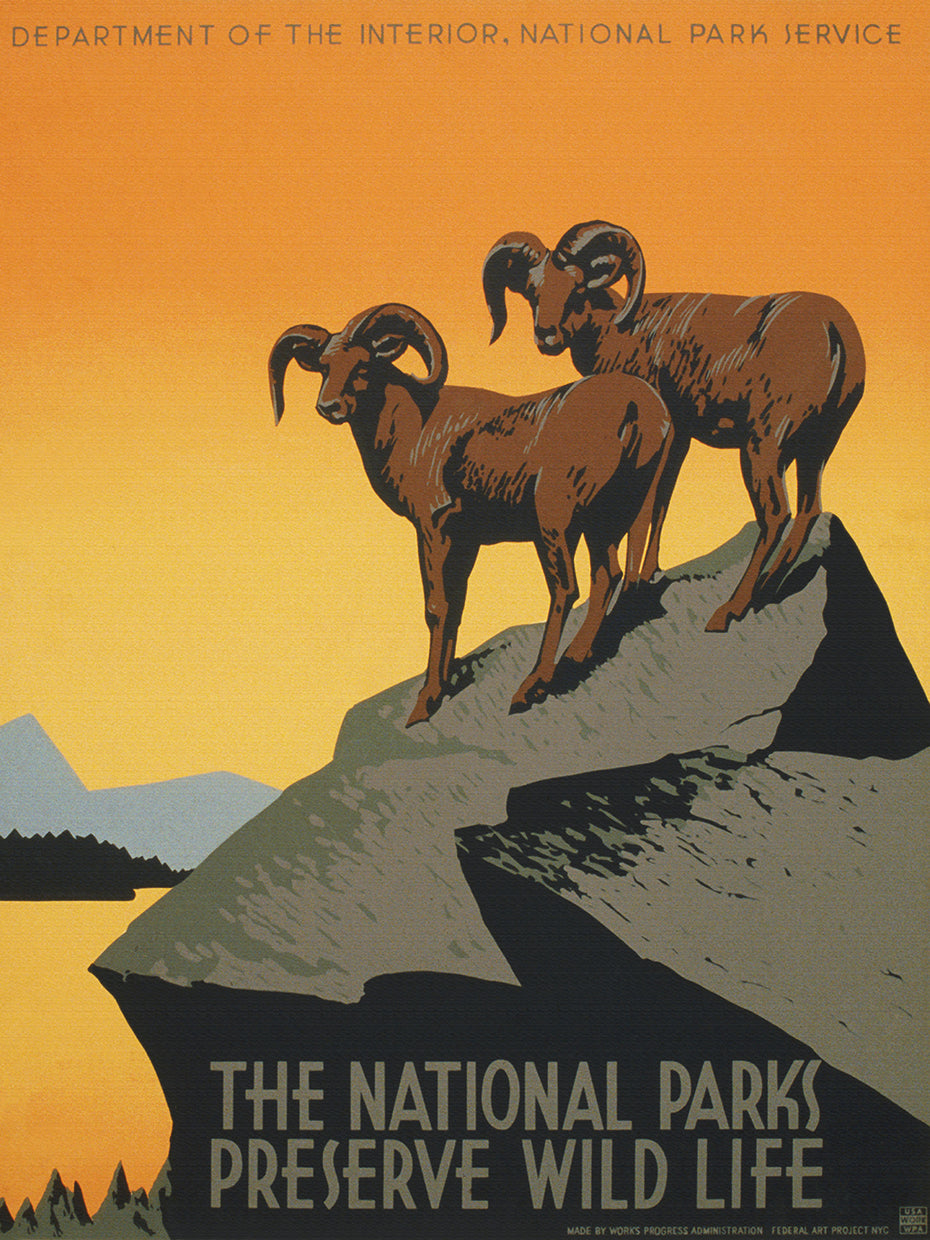 National Parks Poster Preserve Wild Life 1938