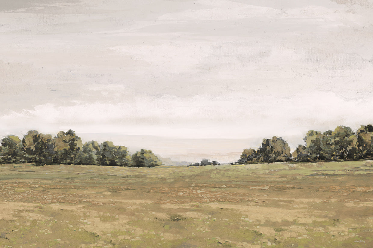 The Hills Beyond