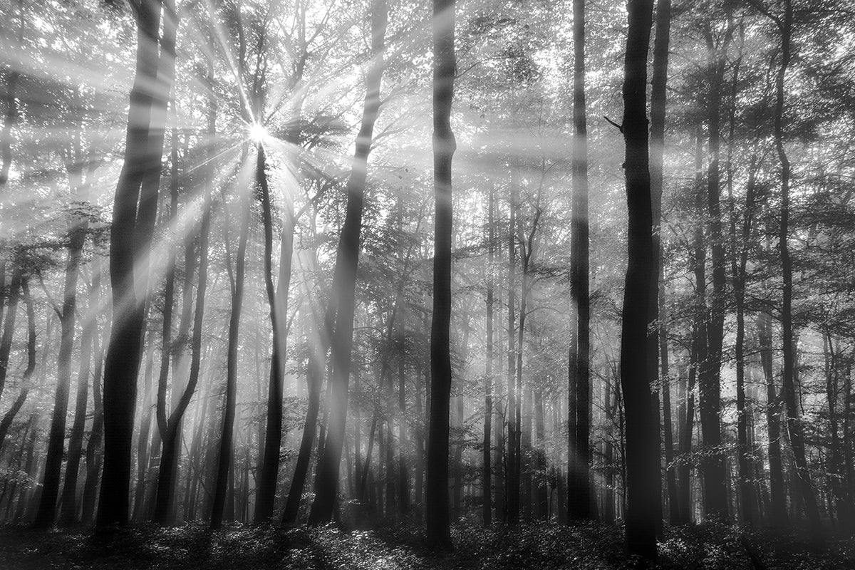 Breaking Through