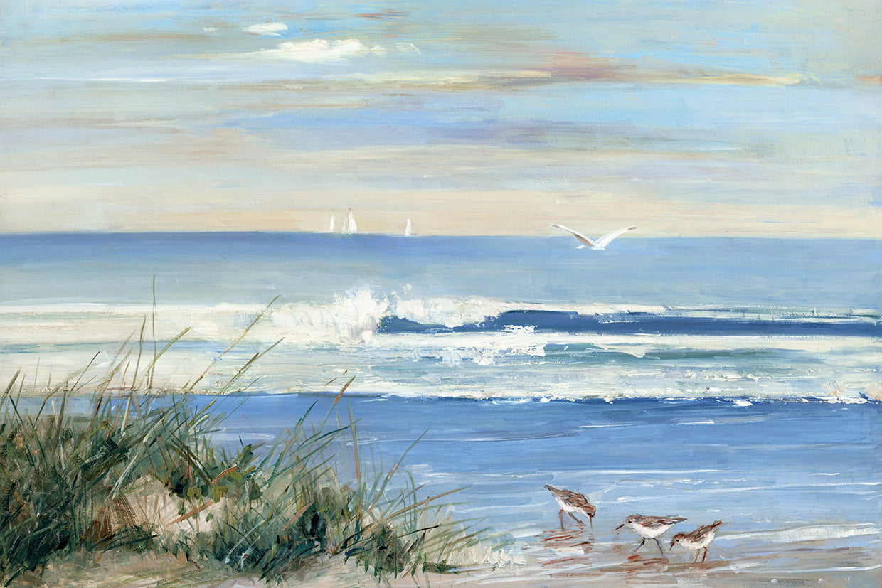 Beach Combers
