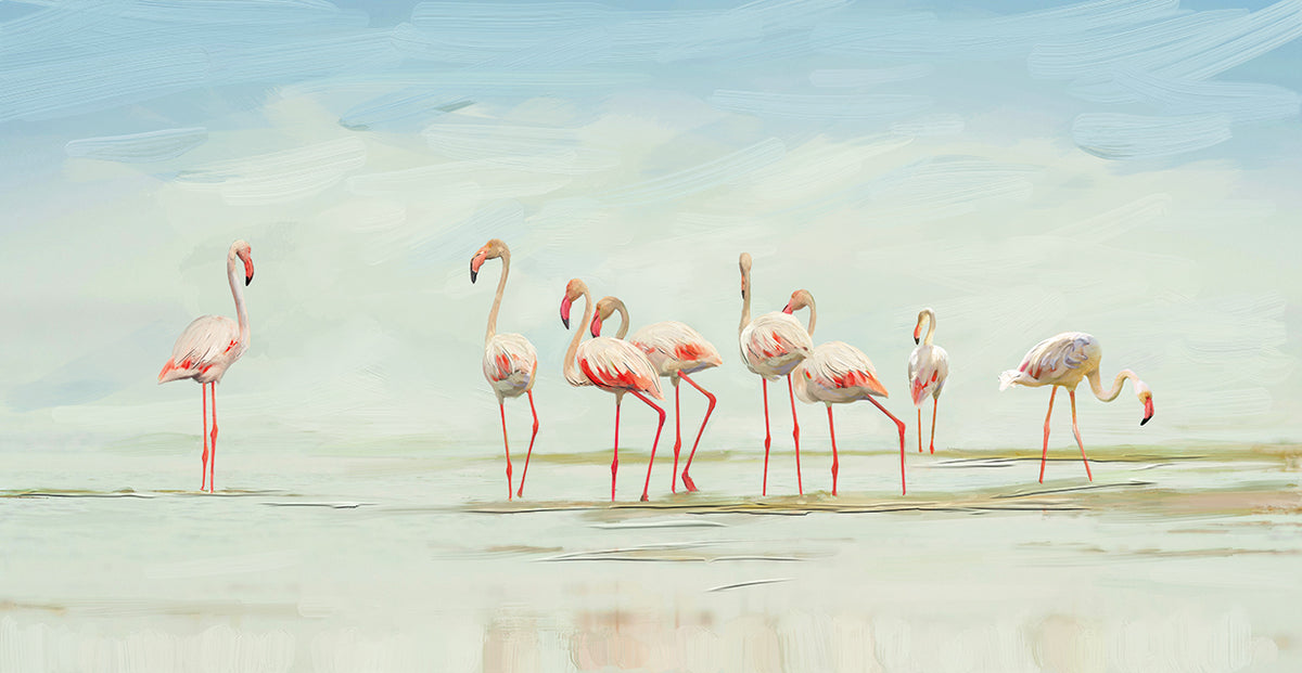 Flamingo Morning