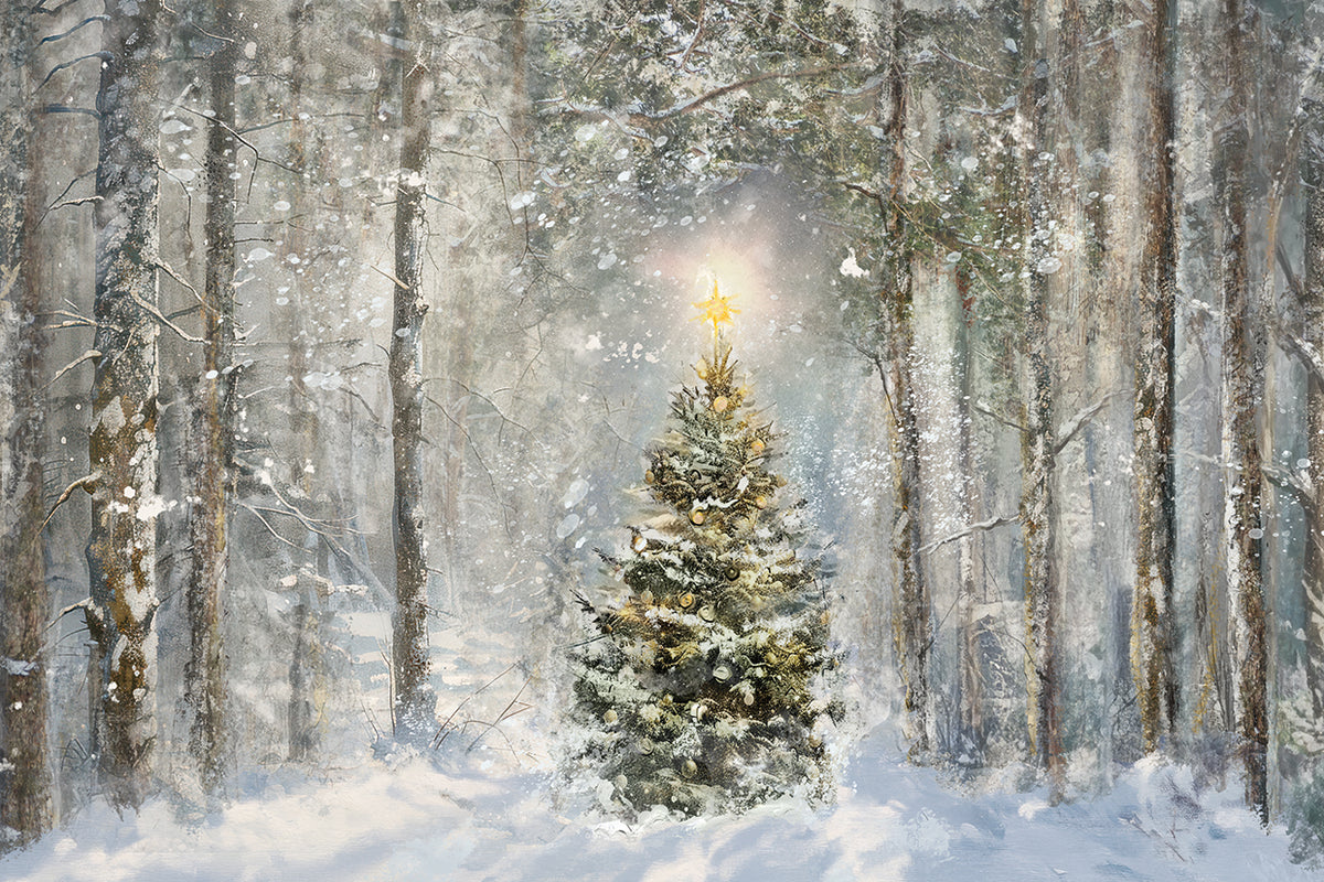 Light in the Forest II