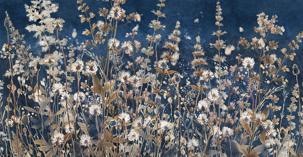 Meadow Dance