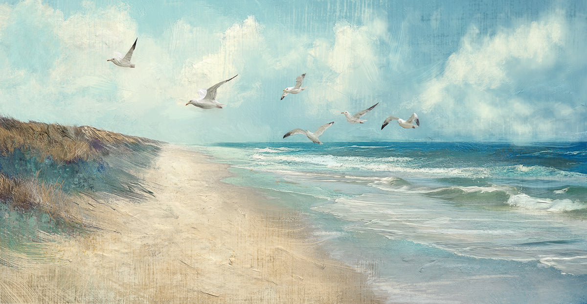 Seagulls Fly By