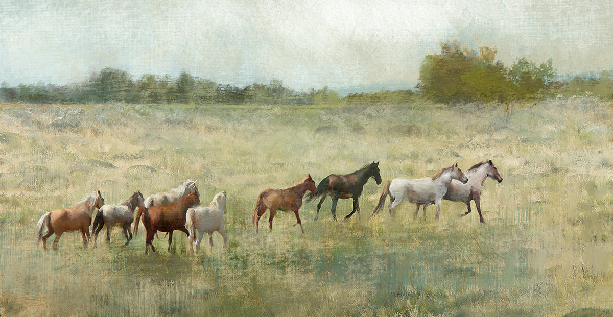 Spring Herd