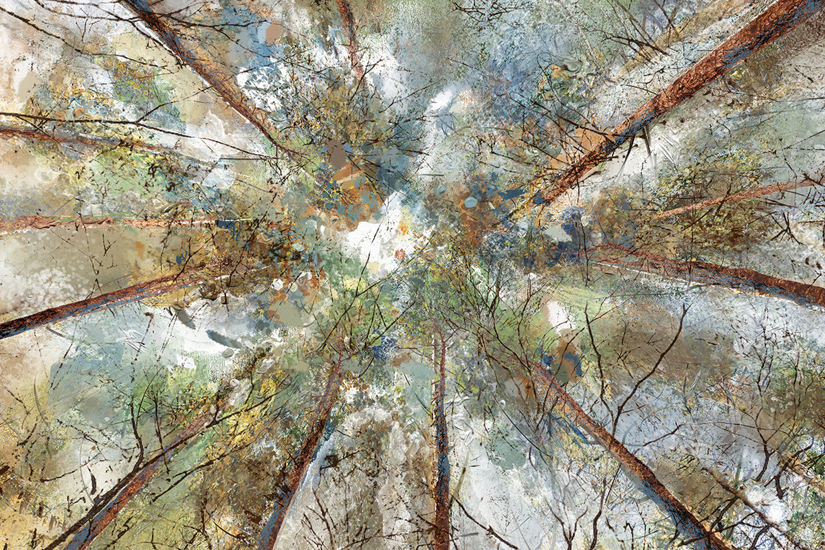 Wooded Spectrum 2