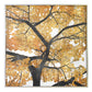 ArtFx - Golden Leaves
