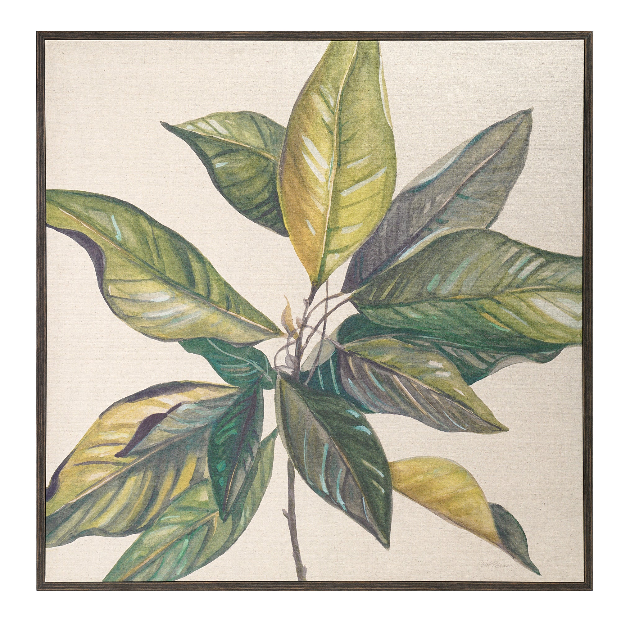 Linen - Magnolia Leaves I