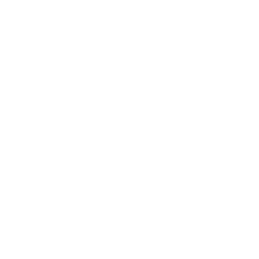 1-Year Peace of Mind warranty icon