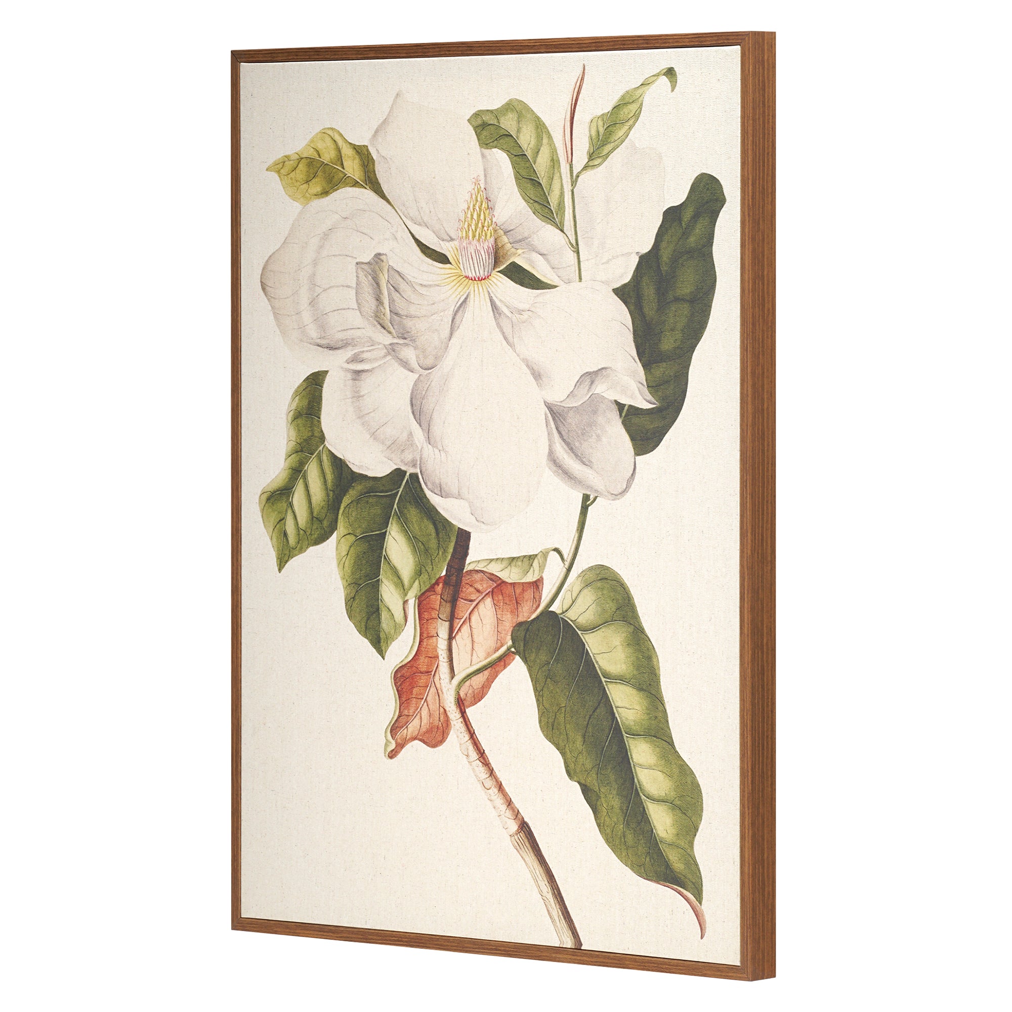 Linen - Southern Magnolia Crop Lite