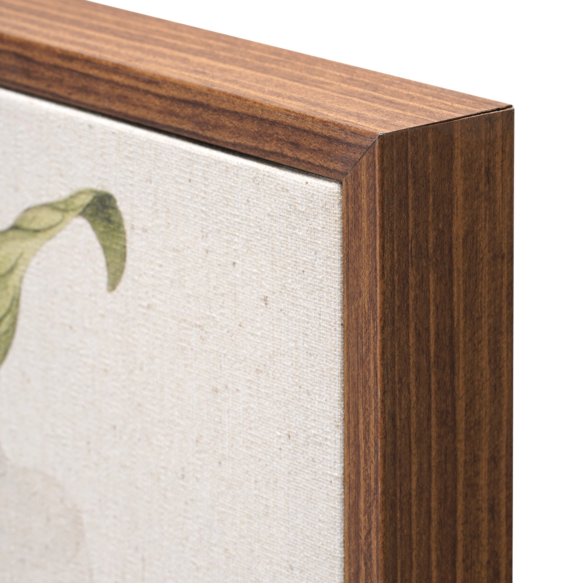 Linen - Southern Magnolia Crop Lite