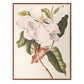 Linen - Southern Magnolia Crop Lite