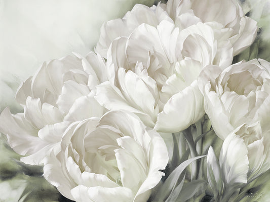 Angelique Tulips II White