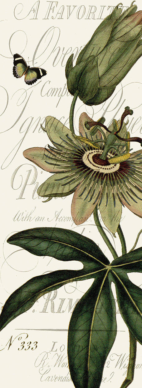 Botanical Panel I