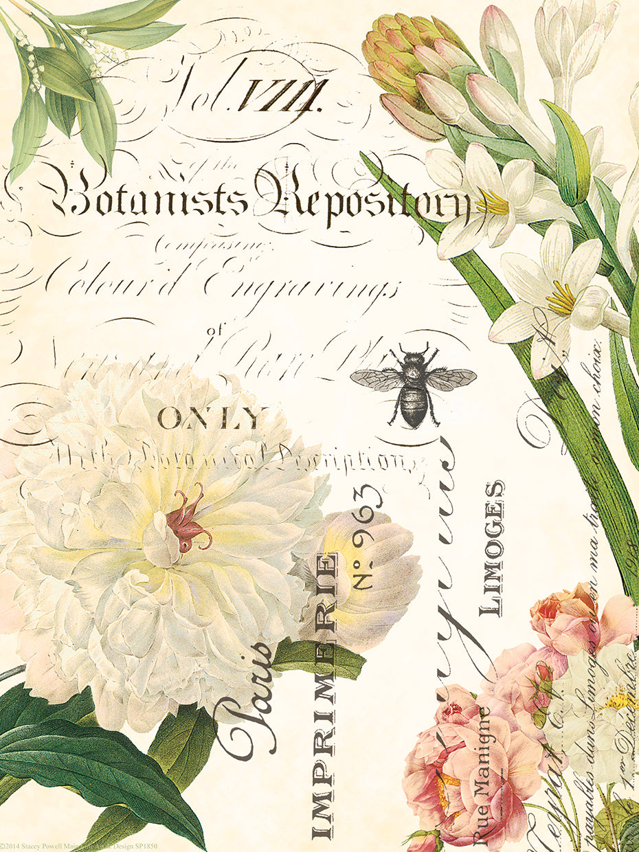 Botany Collage II