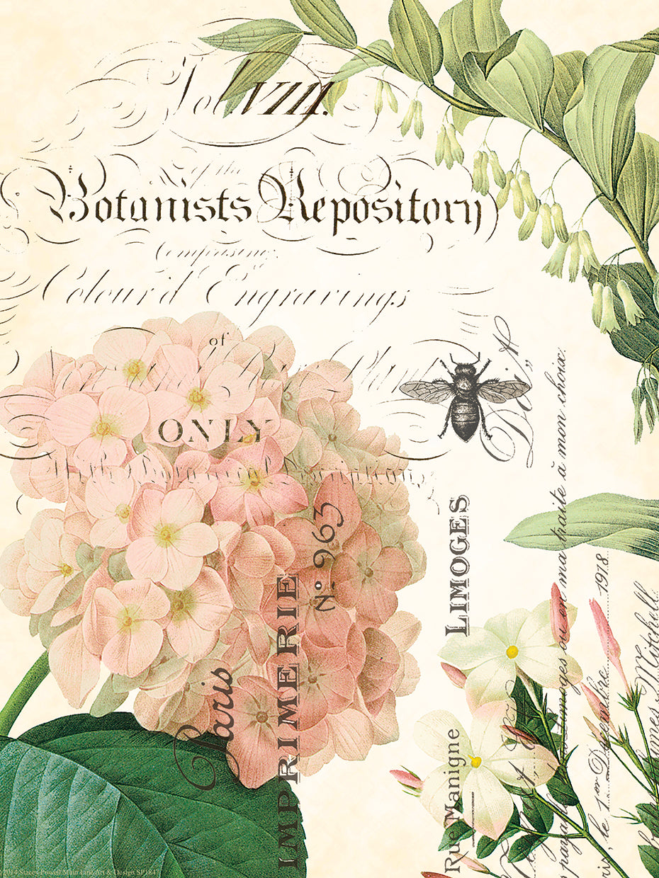 Botany Collage IV