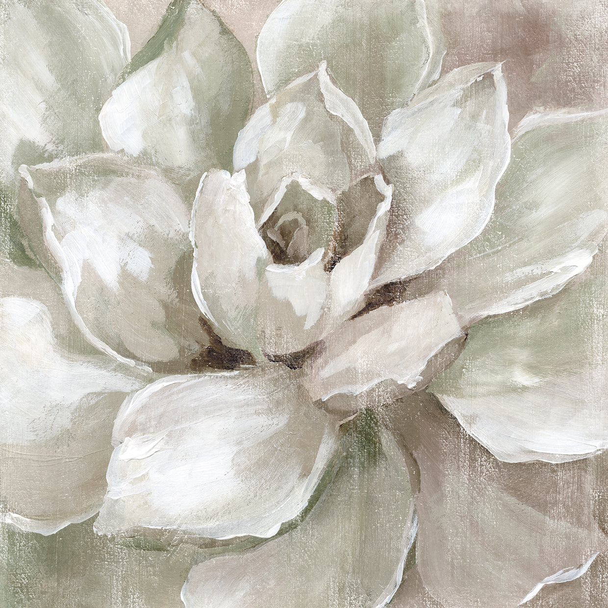 Haze Summer Succulent by Nan - best quality handcrafted wall art work on large canvas & framed canvas prints