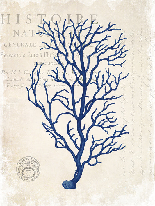 Navy Blue Coral Canvas Prints