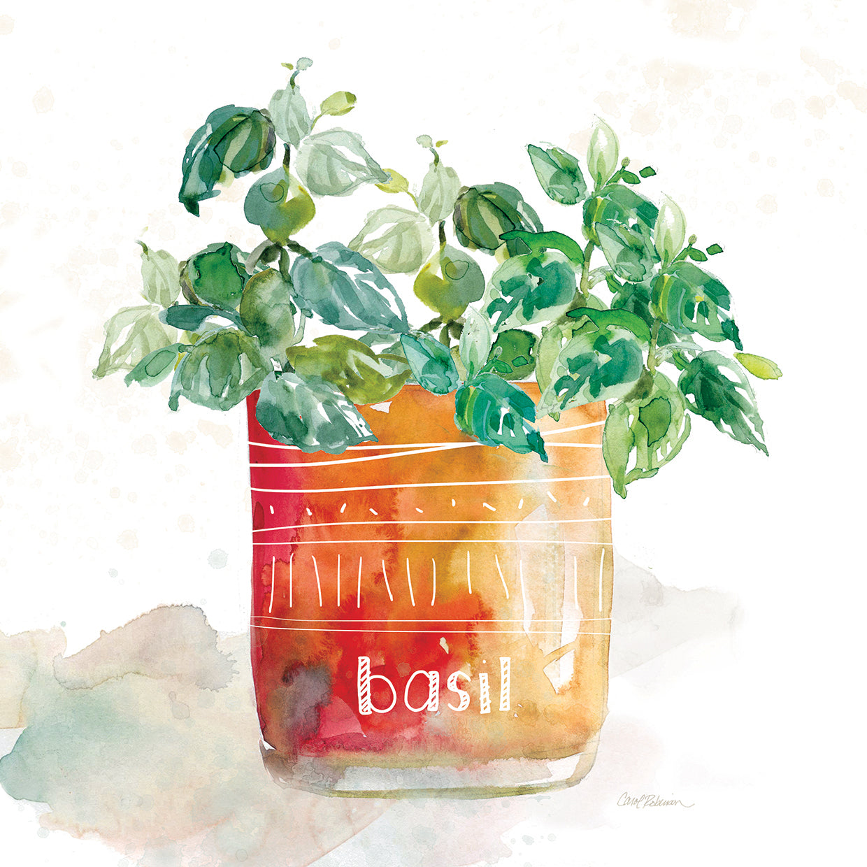 Potted Basil by Carol Robinson - best quality handcrafted wall art work on large canvas & framed canvas prints