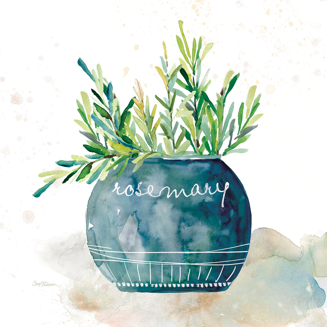 Potted Rosemary by Carol Robinson - highest quality handcrafted wall art work on large canvas & framed canvas prints