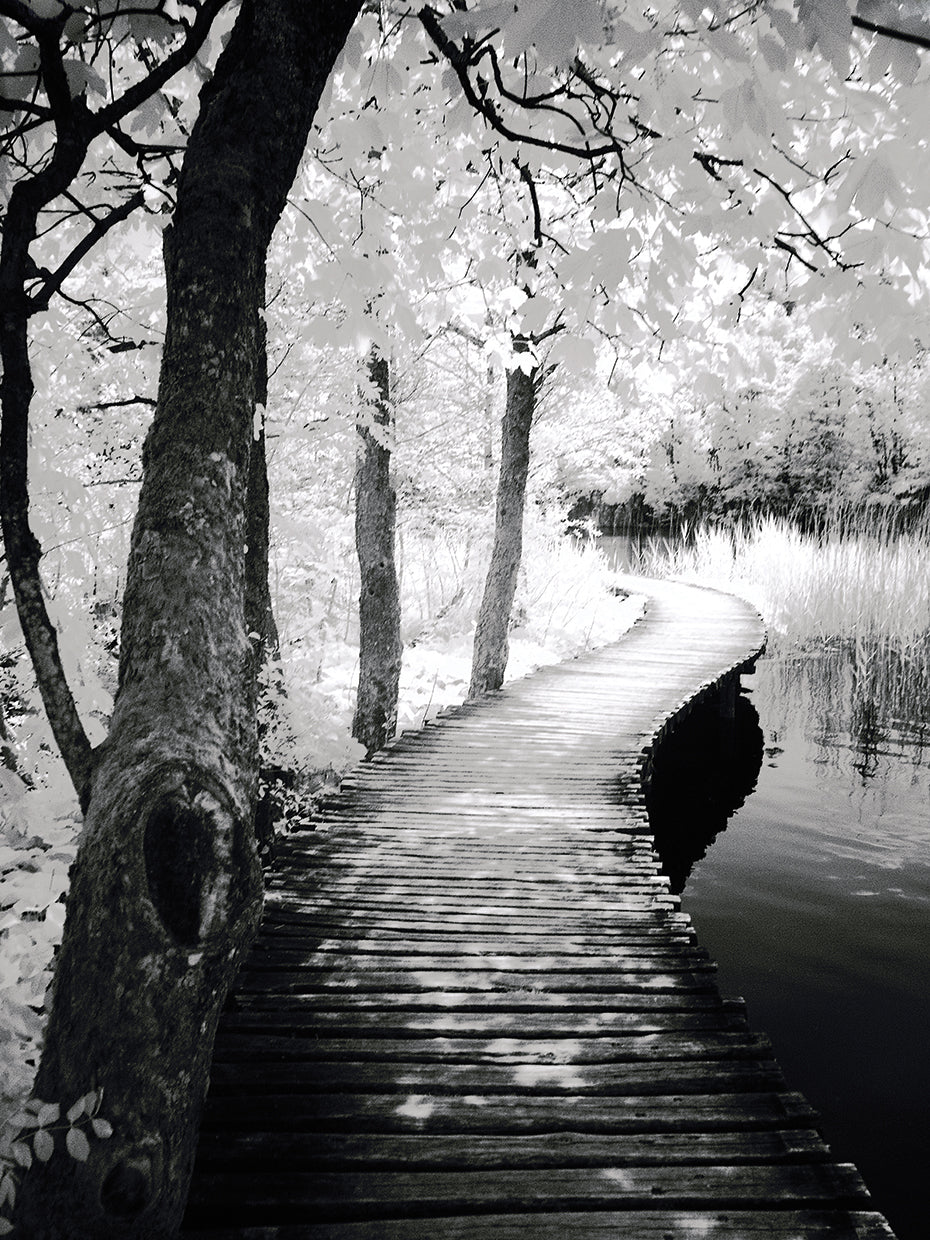 Take a Walk