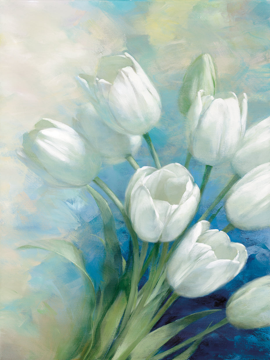 Tulip Blossoms