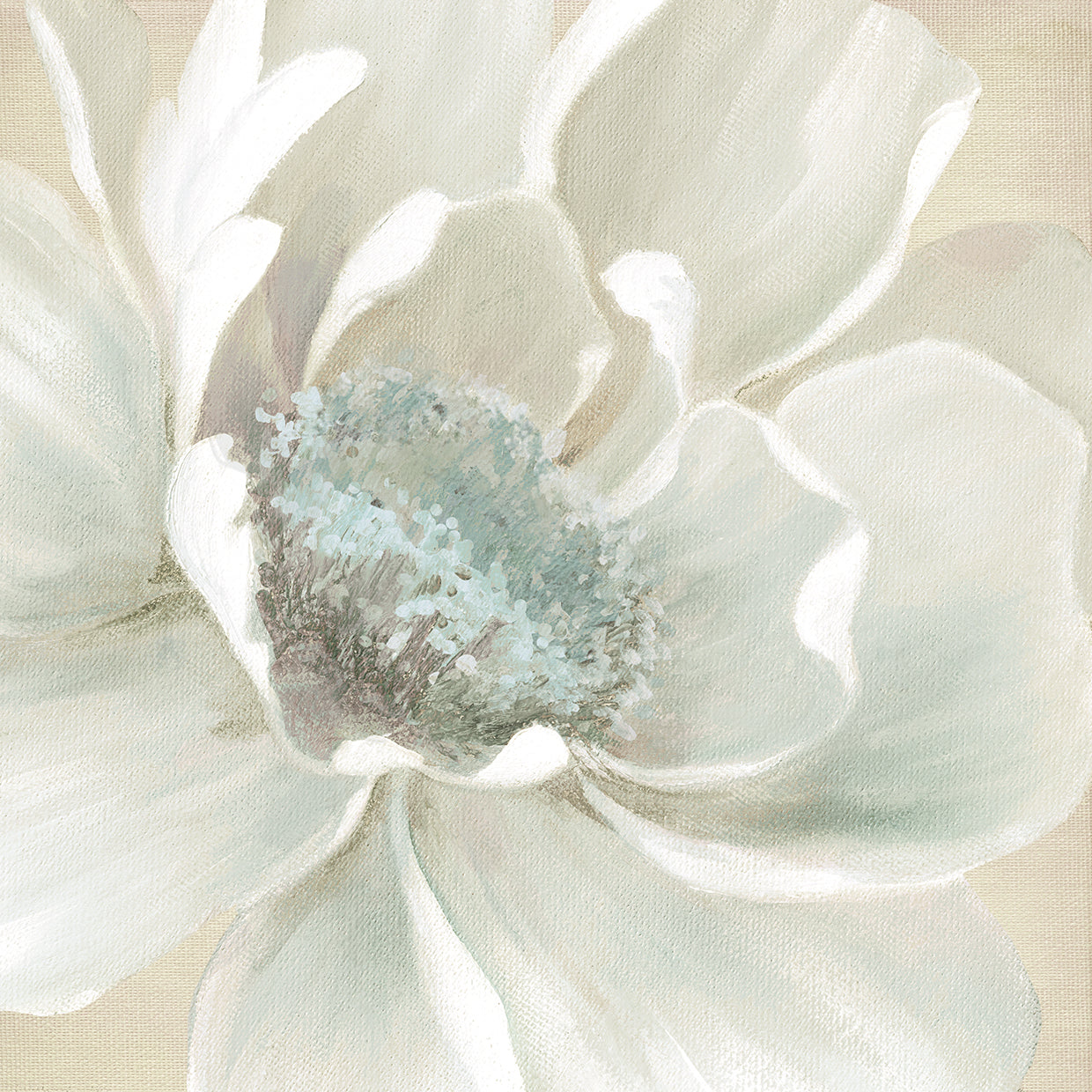 Winter Blooms I by Carol Robinson is gorgeous close-up modern flower painting printed on canvas or framed canvas