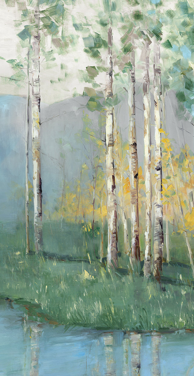 Birch Reflections IV by Sally Swatland - best quality handcrafted wall art work on large canvas & framed canvas prints