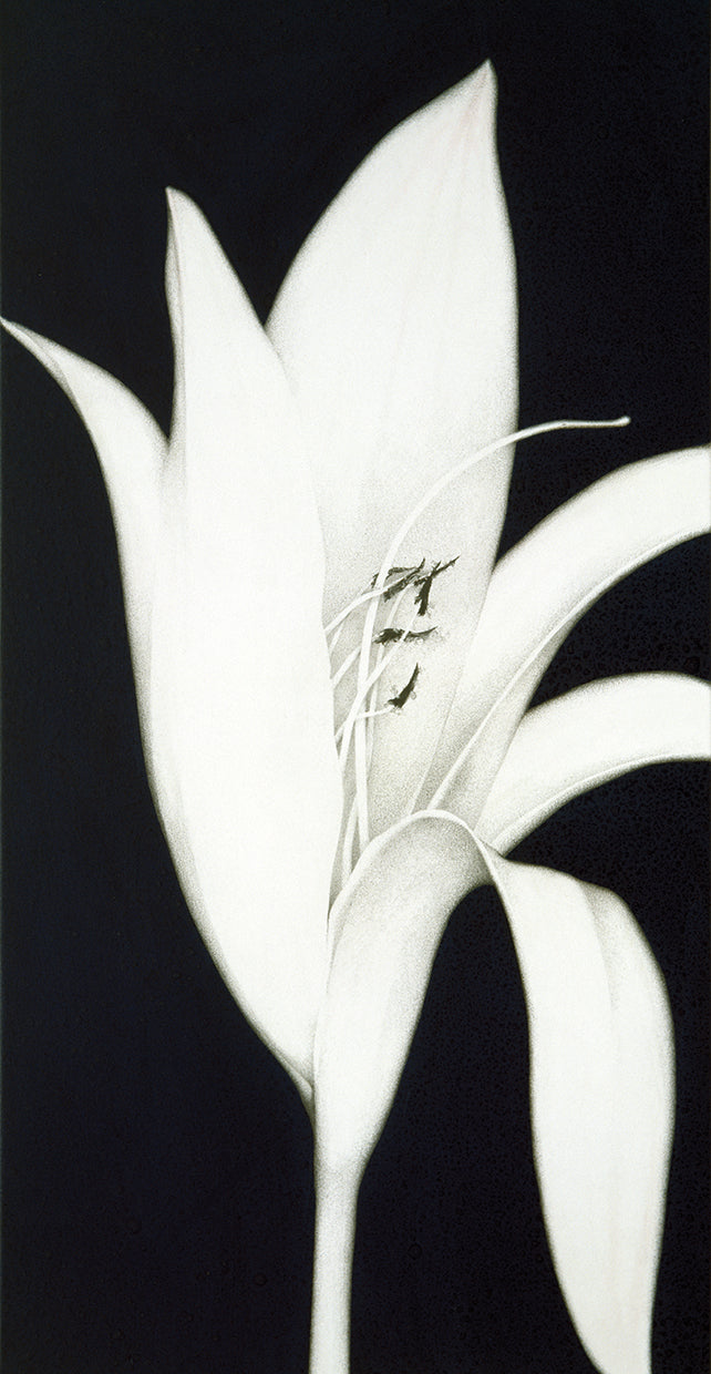 cycle-and-bud-sang-geun-cho